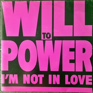 【Disco & Soul 7inch】Will To Power / I