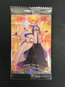 Fate/Grand Order ツインウエハース 特別弾2025 ST 19 ムーンキャンサー アルクェイド・ブリュンスタッド