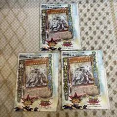 遊戯王　聖戦士カオス・ソルジャー　✖️３枚セット　バラ売り可能