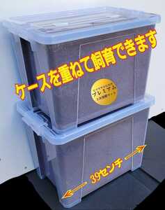 カブトムシ幼虫飼育セット☆大型ケース+特選プレミアム発酵マット20L入り☆外産・国産OK！デカクなります！コバエ防止の特殊フィルター付き