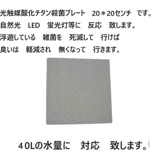 臭い亀　金魚　メダカ　対応 強力殺菌し　臭いを　軽減　光触媒酸化チタン殺菌プレート 　20＊20センチ　　11