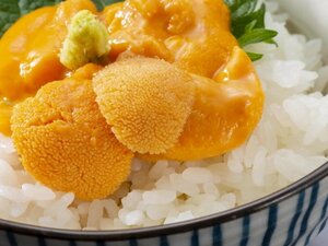 ５【Max】お刺身用のブランチ 生うに100ｇ 冷凍 VAグレード 瞬間凍結で鮮度抜群！生食用 1円