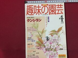 ｓ◆　1996年　NHK 趣味の園芸 4月号　クンシラン　チューリップ 他　日本放送出版局　別冊なし　書籍のみ　書籍　雑誌　/M99