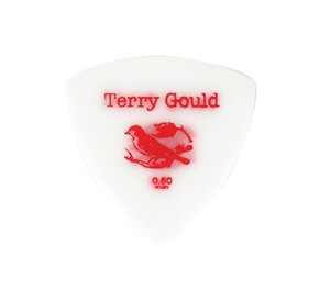 ギターピック 10枚 セット ピックボーイ 0.60mm GP-TG-RS/06 Terry Gould Sand Grip PICKBOY