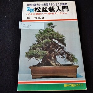 Ca-063/図説 松盆栽入門　林哲也　昭和58年7月20日発行　自然の雄大さを表現する生きた芸術品　日本文芸社/L3/61127