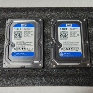 【送料無料】WesternDigtal WD Blue WD10EZEX-00BN5A0 1TB×2 合計2TB 3.5インチ内蔵HDD 2個セット フォーマット済み 正常品 動作確認済