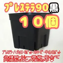 【スリット鉢】プレステラ90黒10個 多肉植物 プラ鉢a