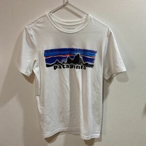 patagonia パタゴニアTシャツ サイズS Slim Fit