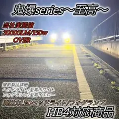 フォグランプ HB4 LED 汎用 後付 ポン付け 爆光ホワイト白色純白