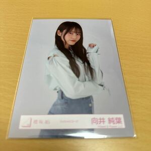 櫻坂46 向井純葉 【 ワイシャツコーデ 】ランダム生写真（ ウエスト ） 計1点【 送料無料 】