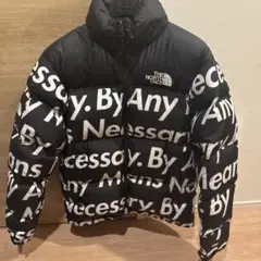 Supreme 15AW THE NORTH FACE NUPTSE