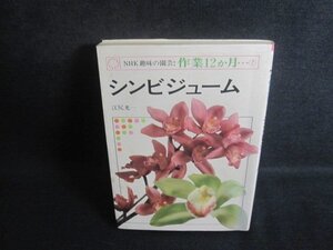 趣味園芸作業12ヵ月7シンビジューム　シミ大日焼け強/TCO