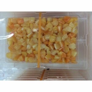 千葉県産 アオヤギ 小柱 １５p セット