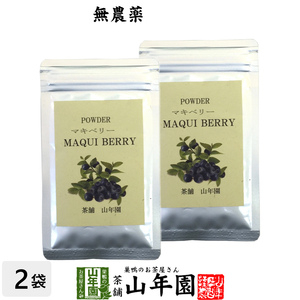 健康食品 無農薬マキベリー マキベリー パウダー 粉末 30g×2袋セット チリ産 無農薬栽培 送料無料