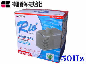 カミハタ 水中ポンプ Rio+3100 50Hz リオプラス　管理80