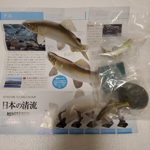 アユ ネイチャーテクニカラー 日本の清流 増補特装版 魚 鮎 ガシャポン フィギュア