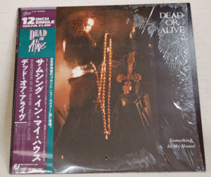 LP●デッド・オア・アライヴ/サムシング・イン・マイ・ハウス/ 12INCH SINGLE 45R.P.M. DEAD or　Alive