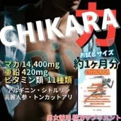 メンズ精力増強剤サプリ☆CHIKARA チカラ 約1ヶ月分☆ビタミン高麗人参マカ