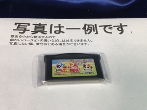 中古C★わんニャンどうぶつ病院★ゲームボーイアドバンスソフト