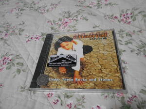 新品未開封　CHANTAL KREVIAZUK(シャンタール・クレヴィアジック) CD Under These Rocks and Stones