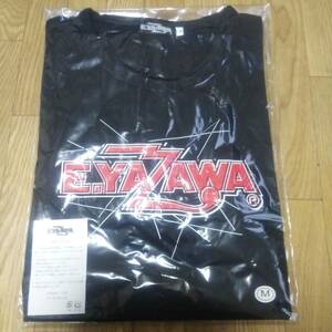 矢沢永吉 新品未開封品 Tシャツ (ロゴ) SHOCK Mサイズ 