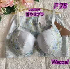 Wacoal Wingレシアージュ 着やせブラ上下セット F75❣️GY♡ᵕ̈*