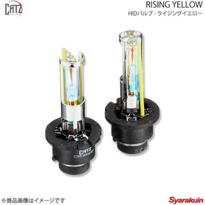 CATZ RISING YELLOW HIDバルブ ヘッドランプ(Lo) D2RS カローラ NZE120/NZE121/NZE122/NZE124/ZZE120/ZZE121/ZZE122 H16.4-H18.10 RS1