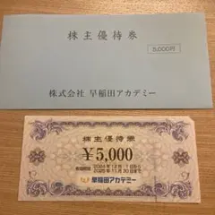 株式会社早稲田アカデミー 株主優待券 ¥5,000