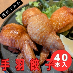 手羽餃子　冷凍手羽餃子　40本入　お取り寄せ　冷凍餃子　BBQ ホームパーティー　お土産　手土産　年末年始