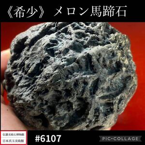 【信濃美術石博物館】 水石 盆栽 《希少》メロン馬蹄石 横8×高6.5×奥行8(cm) 580g骨董盆石古美術鑑賞石観賞石太湖石中国古玩 6107