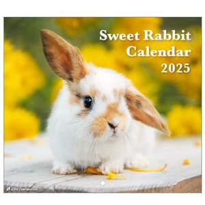 2025 Calendar Sweet Rabbit うさぎ 壁掛けカレンダー2025年 スケジュール アクティブコーポレーション