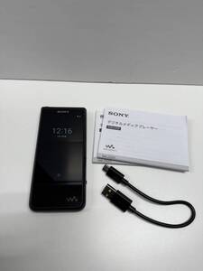 SONY デジタルオーディオプレーヤー NW-ZX507/64GB