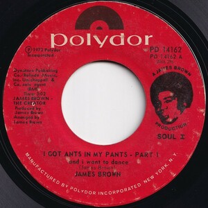 James Brown I Got Ants In My Pants And I Want To Dance Polydor US PD 14162 205605 SOUL FUNK ソウル ファンク レコード 7インチ 45