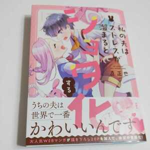 私の夫はストレスが溜まるとショタ化する/直正也