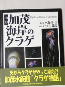 ■694■山形加茂海岸のクラゲ 村上 龍男 (著)　帯つき 122頁　2009年 状態良好