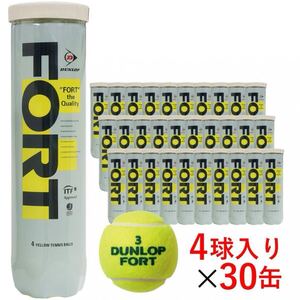 【新品】 Dunlop　ダンロップ フォート　1箱120球