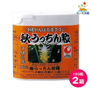 【送料込 定形外郵便】うっちん沖縄 秋ウコン 秋うっちん粒 携帯用 120粒 2箱セット