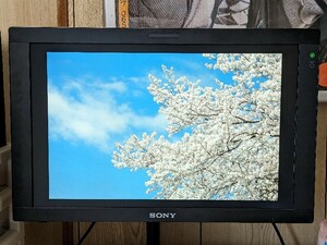 希少 動作品 SONY ソニー LMD-2450W 24型 24V 24インチ 放送用 業務用 プロ プロ用 マルチフォーマット 液晶モニター モニター