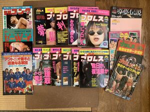 月刊　週刊プロレス No.712〜727 ゴング　ザッツレスラー　闘魂ぴあ　導夢伝説など　合計19冊　長谷川咲恵　猪木　カクタス 雑誌