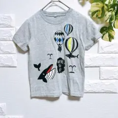 キッズ　男の子　Tシャツ　１２０　半袖　サメ　クジラ　海　気球　着替え　保育園