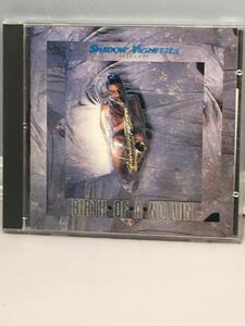 SHADOW VIGNETTES / BIRTH・OF・A・NOTION シャドー・ヴィネッツ/バース・オブ・ア・ノーション　中古CD