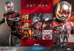 新品未開封 ホットトイズMMS690「アントマン＆ワスプ：クアントマニア」アントマン 1/6 Ant-Man and the Wasp: Quantumania Hottoys