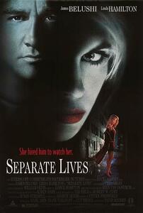 北米版 1995 Separate Lives 多重人格　ポスター　リンダ・ハミルトン 