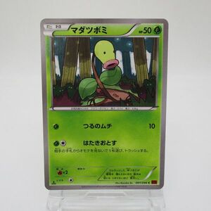 【レトロ ポケカ】マダツボミ ポケモンカード　001/096 C XY3　たねポケモン　Pokemon Cards　中古　　　　#0416-309