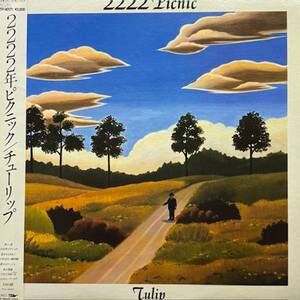 ★Tulip - 2222年ピクニック = 2222 Picnic（★盤面極上品！）