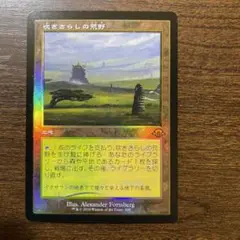 MTG モダンホライゾン3  吹きさらしの荒野　旧枠foil