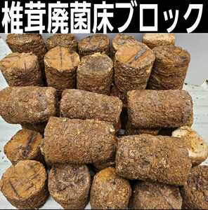 カブトムシ幼虫の栄養強化に！椎茸菌床ブロック【15個】マットに埋め込むだけで幼虫が潜り込みモリモリ食べて大きくなります！クヌギ100％