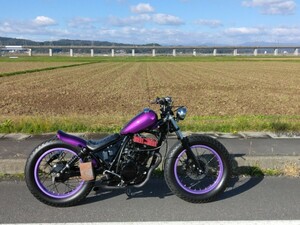 HONDA ホンダ CBX250RS フルカスタム 美車 レストア済 チョッパー GB250クラブマン CBX400F CBR400F同年代 旧車 絶版車 z400fx xj400 gs400