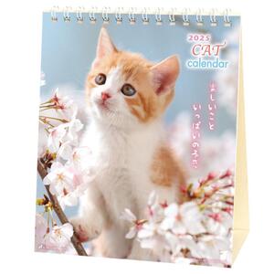 2025 Calendar リトルキャット 卓上カレンダー2025年 ねこ スケジュール 動物写真 書き込み