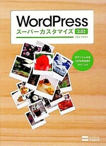 ＷｏｒｄＰｒｅｓｓスーパーカスタマイズ３．０対応 ポテンシャルを１００％引き出すテクニック／下野宏，下野理子【著】